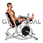 Lever Seated Leg Curl (plate loaded) (male)
