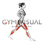 Split Squat Heel Raise (female)