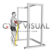 Resistance Band Standing Single Arm Triceps Stretch (male)