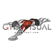 Lying Single Arm Slide from Y to T (male)