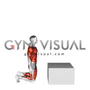 Kneeling to Box Jump (male)