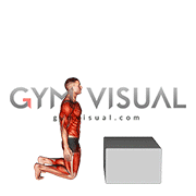 Kneeling to Box Jump (male)