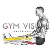 Resistance Band Seated Single Leg Hamstring Stretch (male)