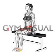Resistance Band Seated Knee Raise (female)
