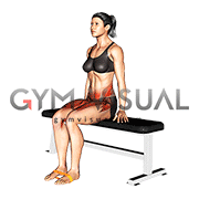 Resistance Band Seated Knee Raise (female)