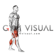 High Knee Walk (male)