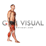 High Knee Walk (male)