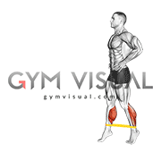 Resistance Band Toe Walk