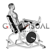 Lever Seated Single Leg Curl (plate loaded) (male)