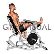 Lever Seated Single Leg Curl (plate loaded) (male)