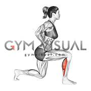 Split Stance Single Leg Calf Raise (female)