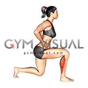 Split Stance Single Leg Calf Raise (female)