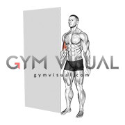 Standing Isometric Biceps Hold