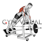 Lever Incline Prone Row (male)