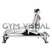 Pilates Machine Arm Circle (female)