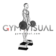 Barbell Jefferson Curl (male)