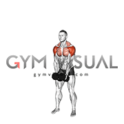 Dumbbell LU Raise (male)