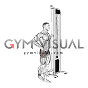 Cable Side Leg Kick from Back