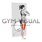 Bodyweight Single Leg Deadlift against Ball (female)