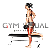 Dumbbell Single Leg Romanian Deadlift on Bench (female)