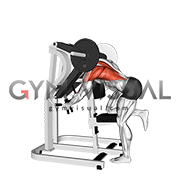 Lever Bent Over Single Arm Lats Focused Row (male)