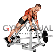 Lever Incline Prone Neutral Grip Row (male)