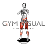 Bosu Ball Squat (female)