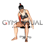 Negative Biceps Leg Concentration Curl (female)