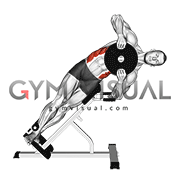 Weighted Plate 45 degrees Side Bend