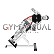 Weighted Plate 45 degrees Side Bend (female)