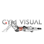 Weighted Plate Crunch (hands overhead) (VERSION 2) (female)