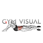 Weighted Dumbbell Crunch (hands overhead) (VERSION 2)