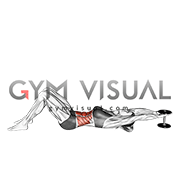 Weighted Dumbbell Crunch (hands overhead) (VERSION 2) (female)