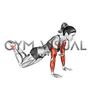 Kneeling Plyo Push-up (female)