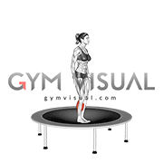 Elastic Bed Toe Jump (female)