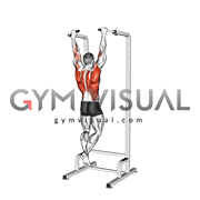 Eccentric Single Arm Pull-Up (male)
