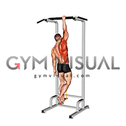 Resistance Band Assisted Single Arm Pull-up (VERSION 2) (male)