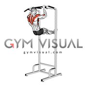 Scapular Pull-up Swing (male)