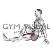 Seated Single Leg Raise (male)