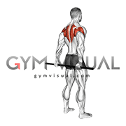 Stick Standing Shoulder Mobilization in Extension (male)