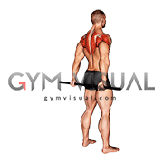 Stick Standing Shoulder Mobilization in Extension (male)