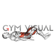 Hamstring Bridge Leg Kick (VERSION 2) (male)