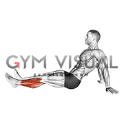 Seated Single Leg Foot Circle (male)