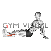 Seated Single Leg Foot Side to Side (male)