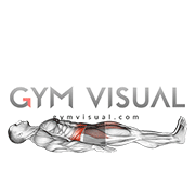 Lying Single Leg Raise (male)