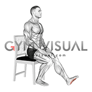 Seated Single Leg Squeezing Toes (male)