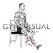 Seated Single Leg Foot Side to Side (male)