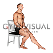 Seated Single Leg Toes Press (male)
