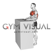 Standing Forward Slide Press with Towel (male)