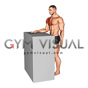 Standing Internal Rotation Slide with Towel (male)